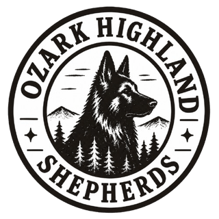 Ozark Highland Shepherds German Shepherd